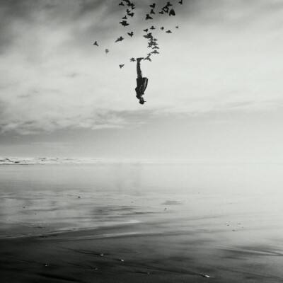 火狐电竞app下载